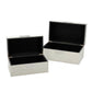 Storage Decor Box (Set of 2): White & Silver